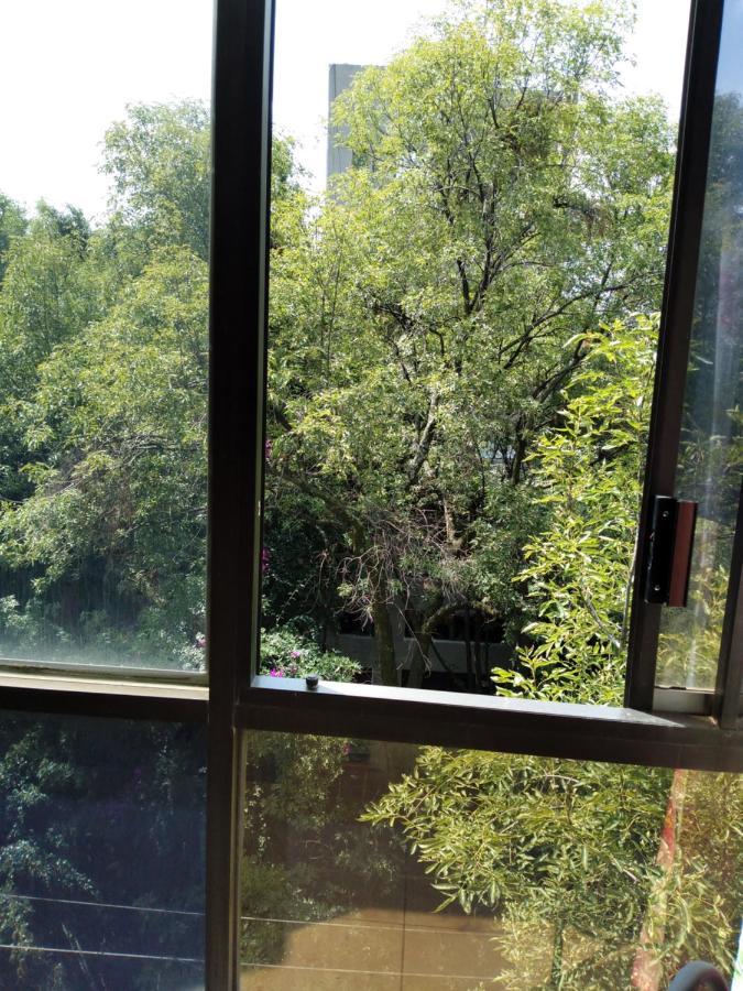 Charming Sunny Bedroom Overlooking Beautiful Amsterdam Avenue In Best Condesa Area Mexico by Eksteriør bilde