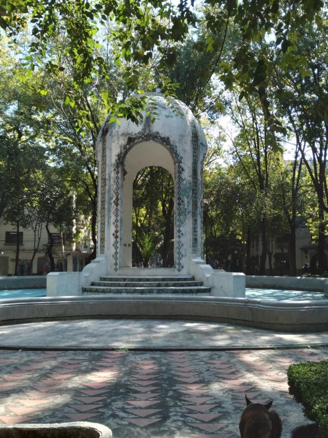 Charming Sunny Bedroom Overlooking Beautiful Amsterdam Avenue In Best Condesa Area Mexico by Eksteriør bilde