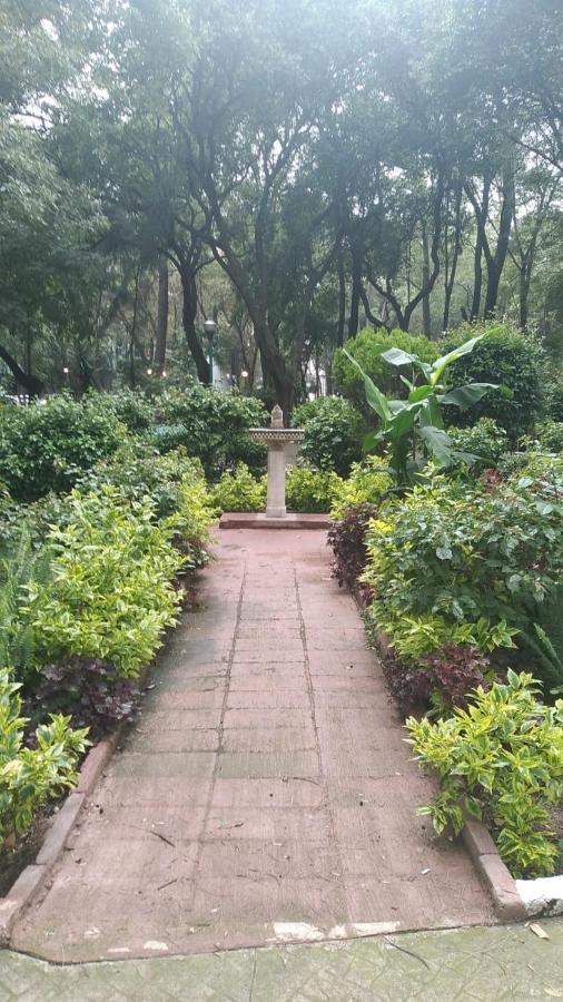 Charming Sunny Bedroom Overlooking Beautiful Amsterdam Avenue In Best Condesa Area Mexico by Eksteriør bilde